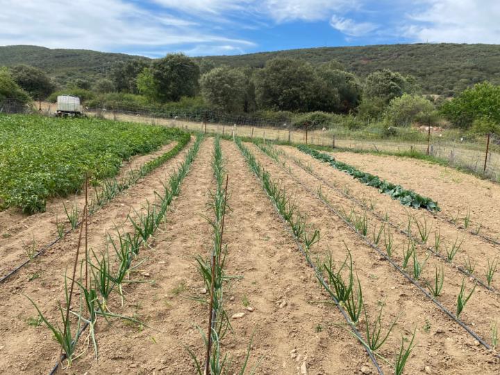 Roberto Martínez Vega