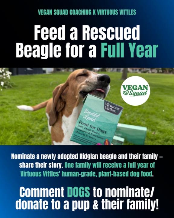 Help us feed a rescued Ridglan Beagle for a year!