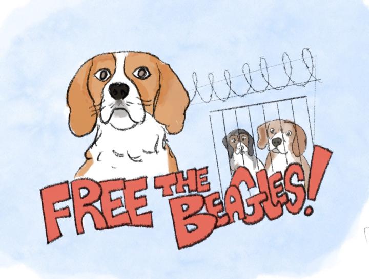Freedom For The Ridglan Beagles!