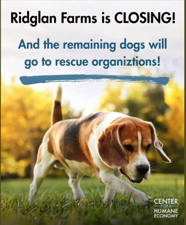Ridglan Farms is SHUTTING DOWN!!