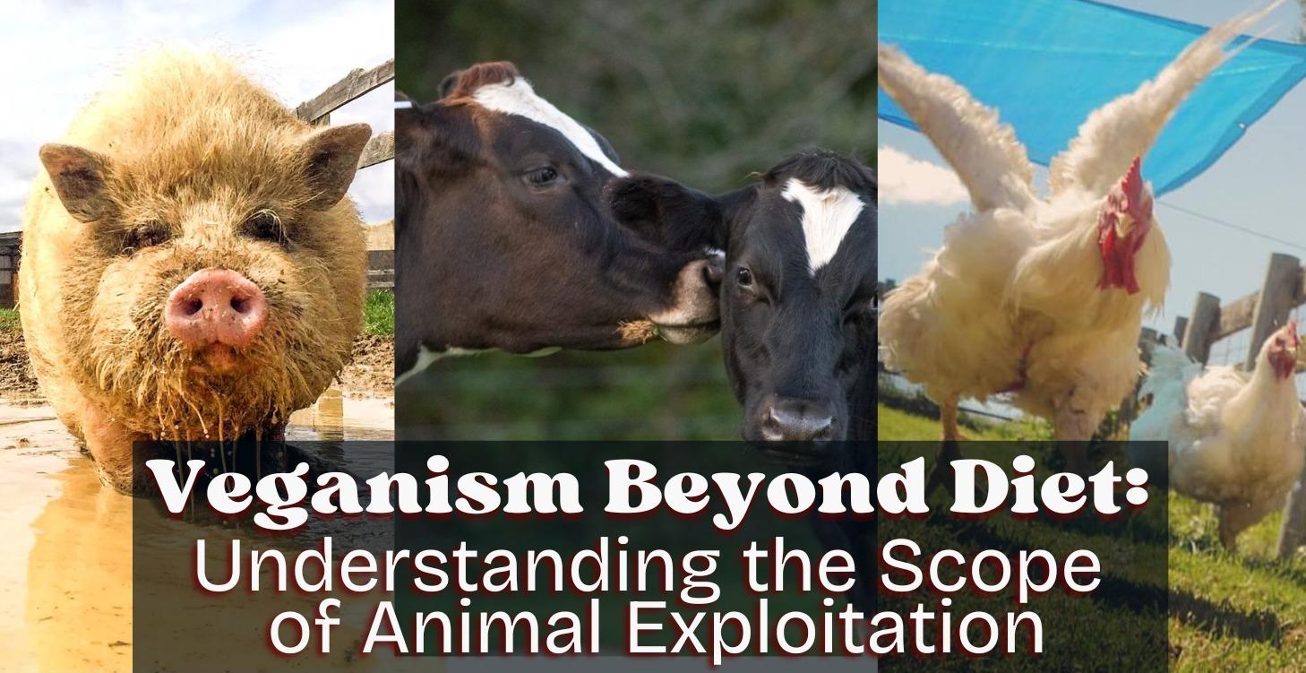Veganism Beyond Diet