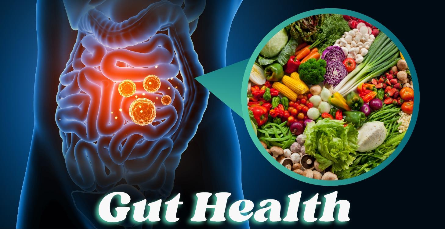 Gut Health