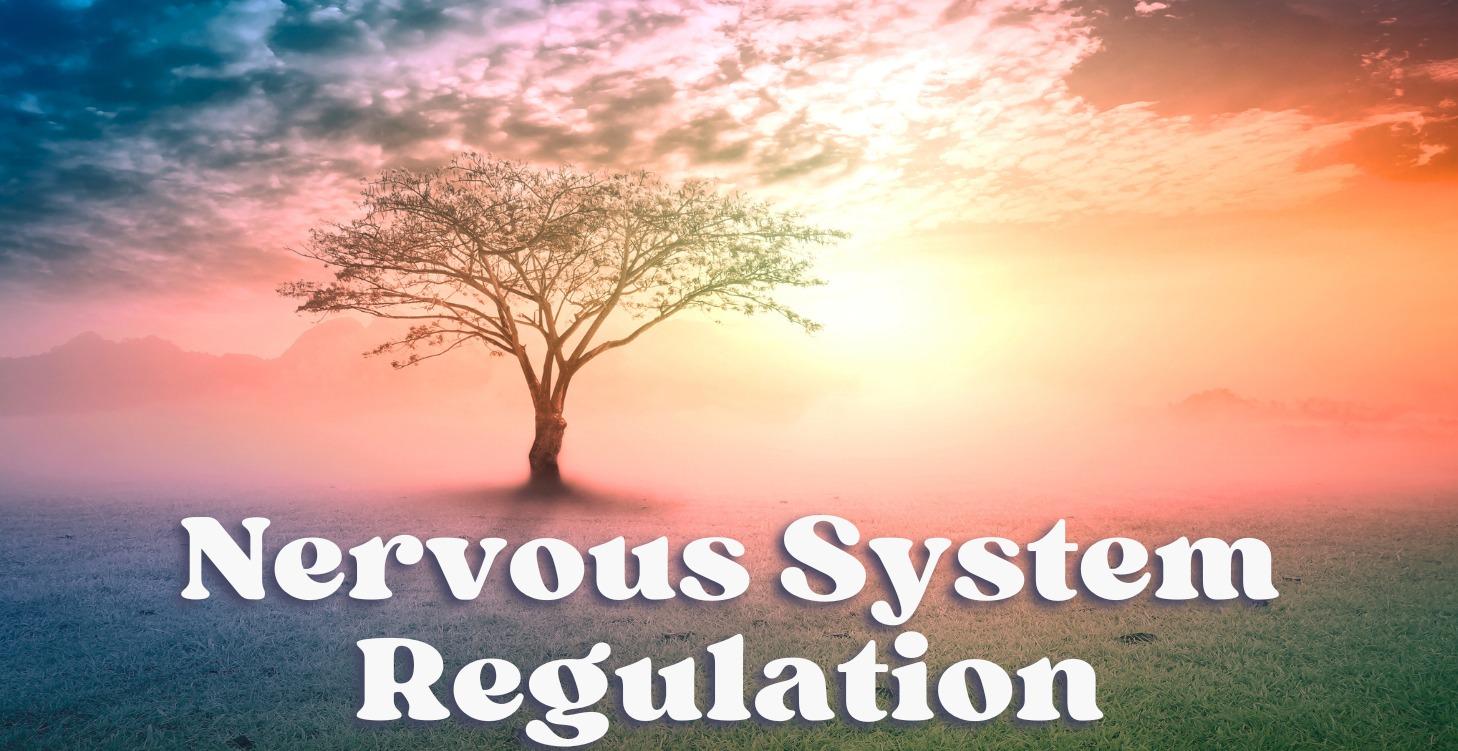Nervous System Regulation