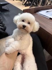 Kevin Ku