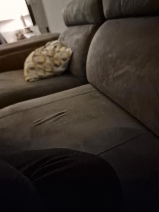 Fortea fornas Lorena