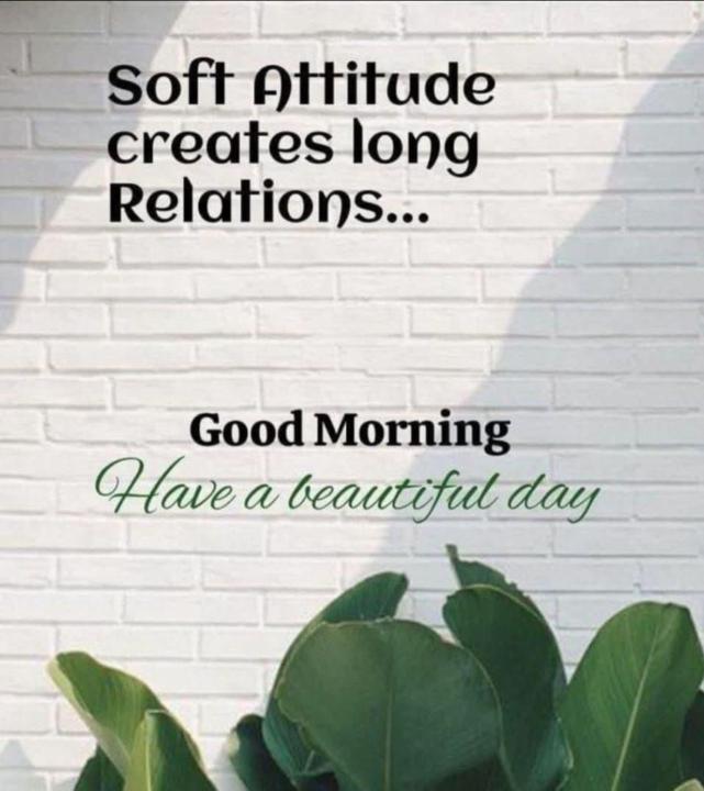 محمد الواثق