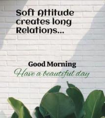 محمد الواثق