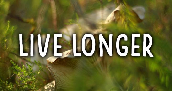 Live Longer (Free)