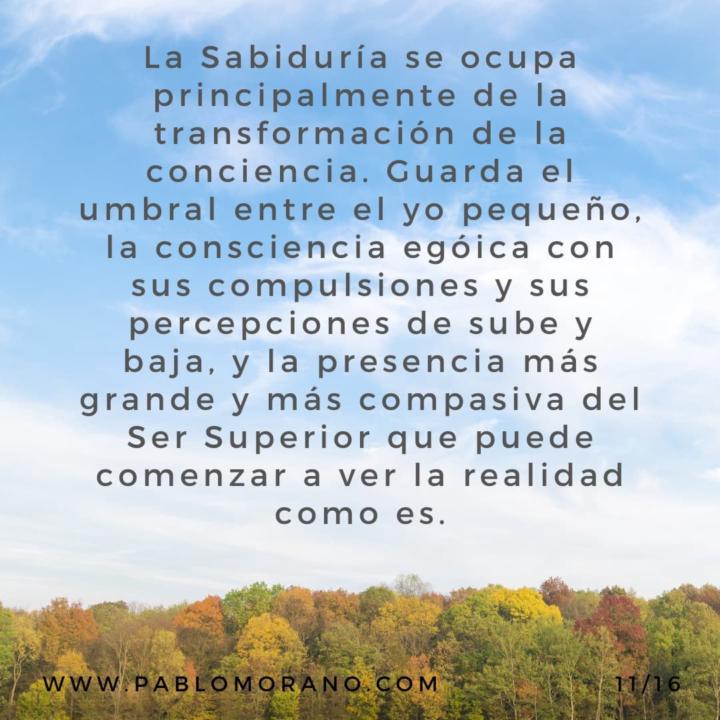 Mensaje del día