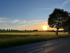 Andreas Manger