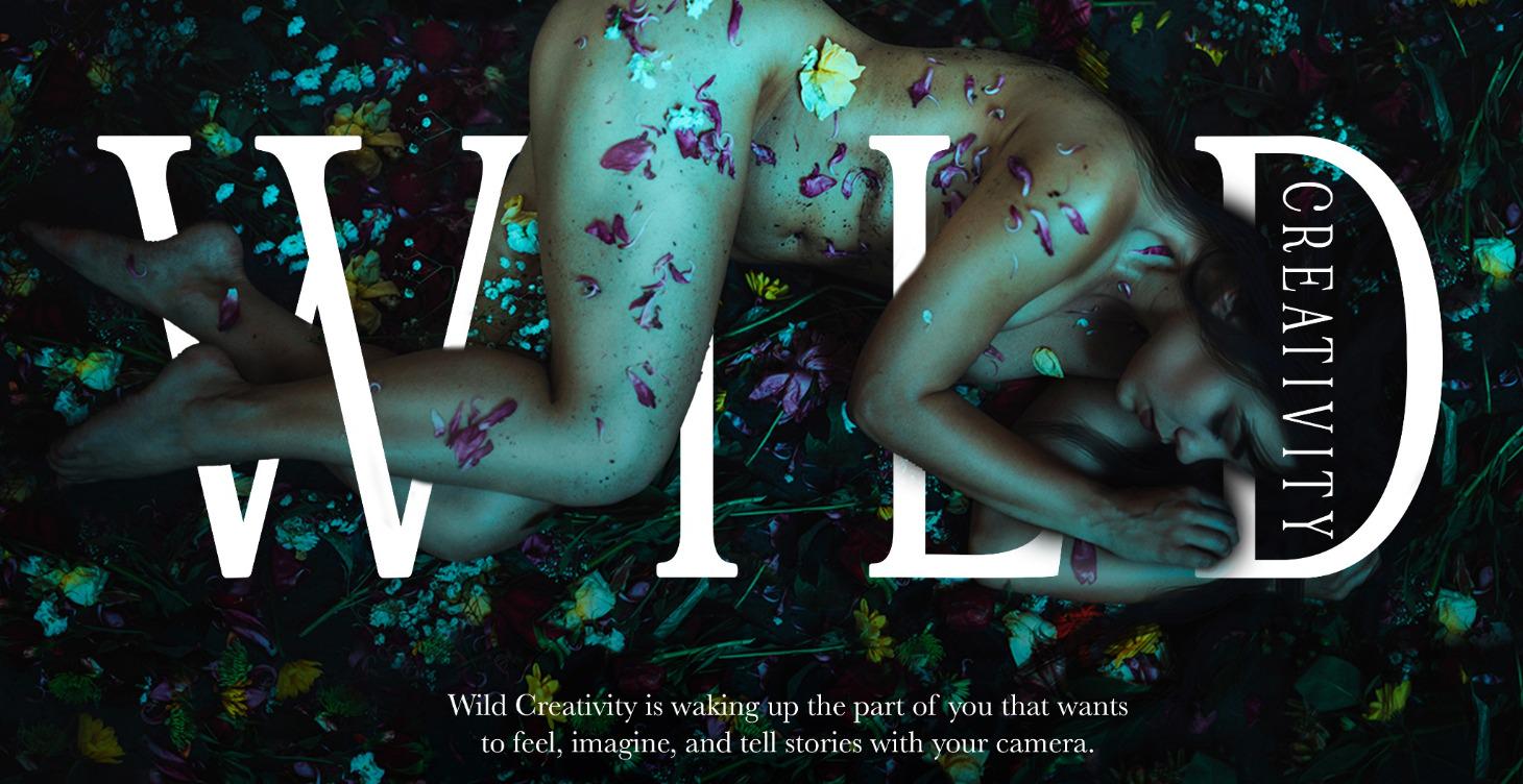 WILD CREATIVITY