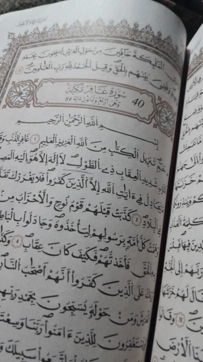 زهرة يوسف