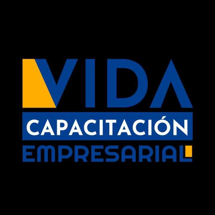 Vidca Empresarial