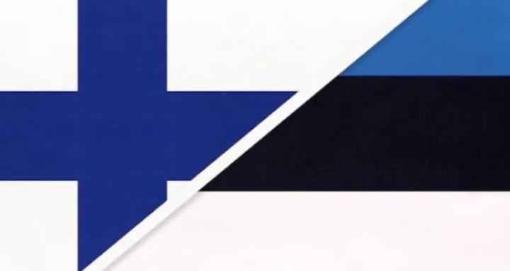 Estonians in Finland