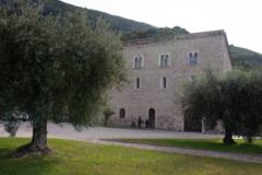 Stefano Cesari