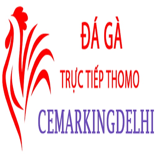 Đá Gà Trực Tiếp Thomo