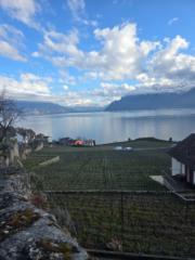 Acces Marketing En Ligne