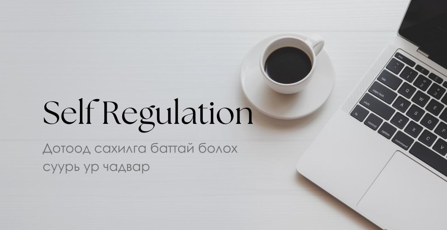 Self Regulation