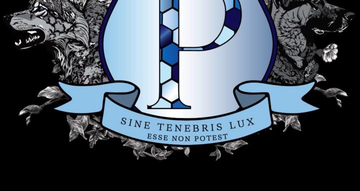 Patterson Pro Dog Training