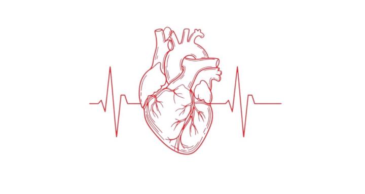 🧡 ᴄᴏʀɪɴᴛ - ᴍᴇᴅꜰᴏʀʏᴏᴜ