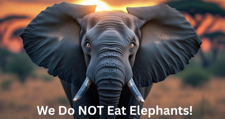 Disaster Drama School 