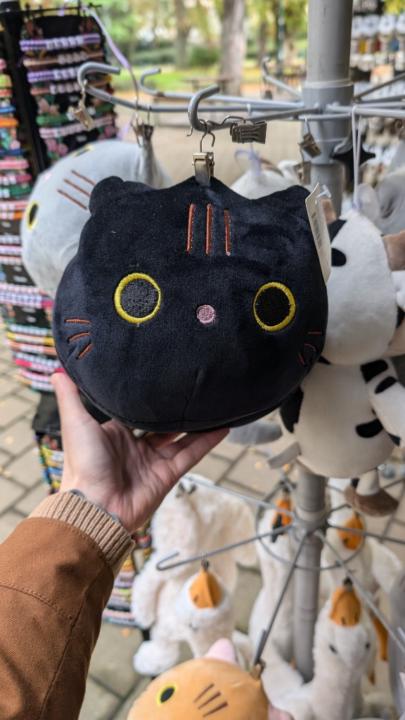 Islanya Aguiar Maciel