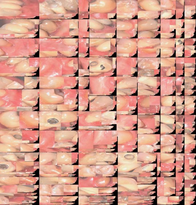 Martha azucena Alanis flores