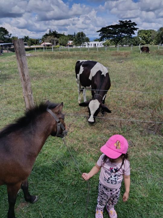 Kateryn Chamorro moreno