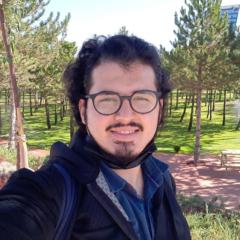Muhammed F Kaya