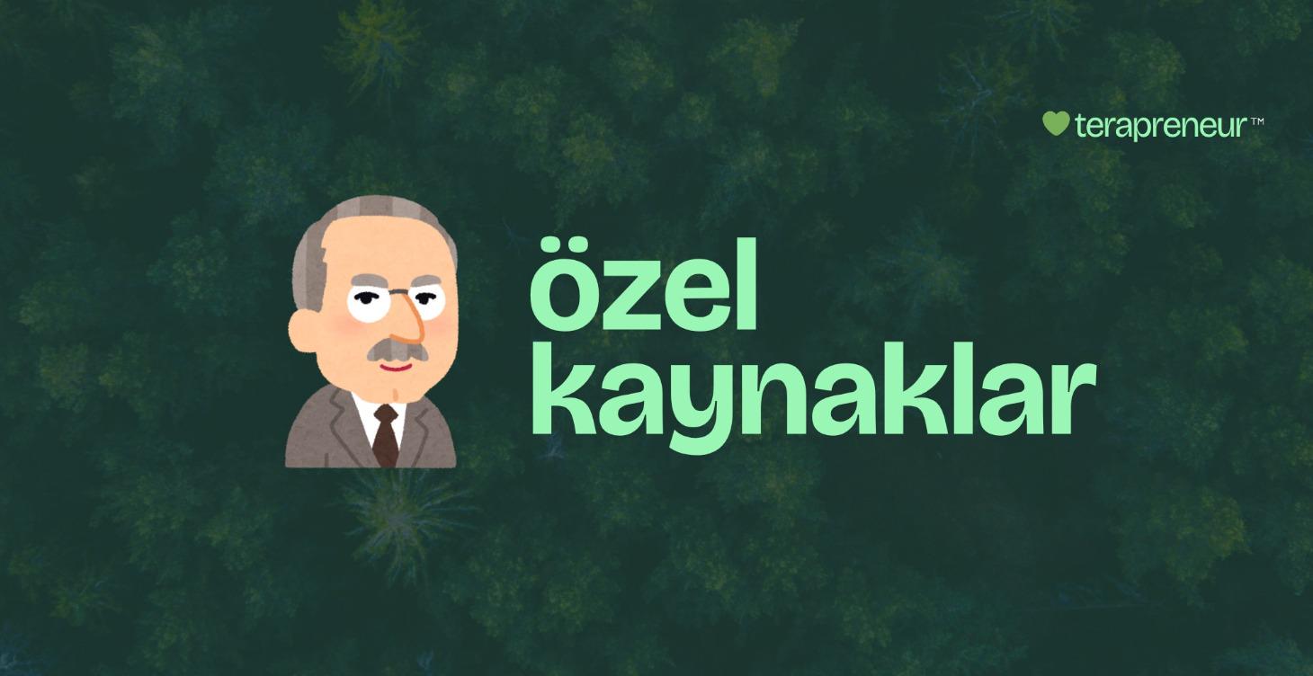 özel kaynaklar
