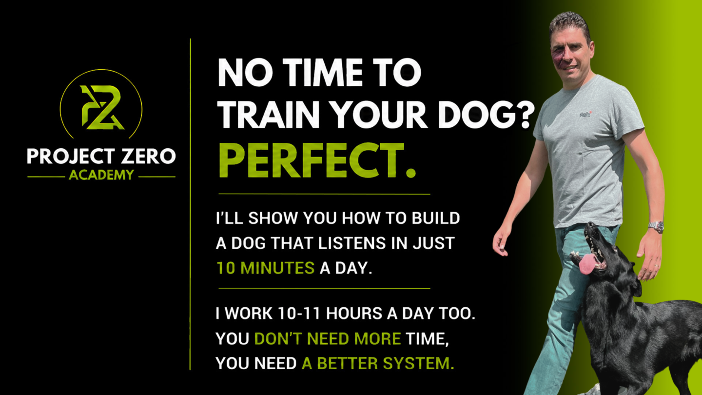 Project Zero Dog Training