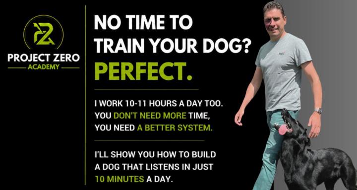Project Zero Dog Training 