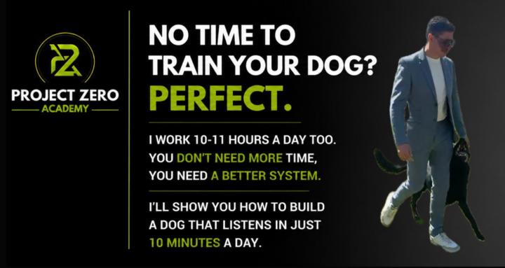Project Zero Dog Training 