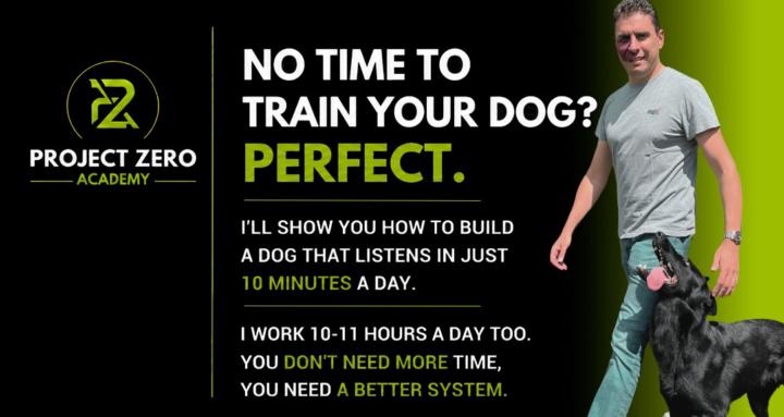 Project Zero Dog Training 