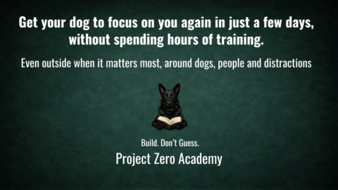 Project Zero Dog Training  gallery image