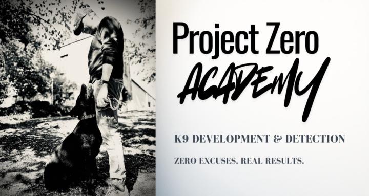 Project Zero Academy 