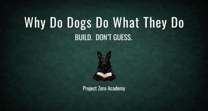 Project Zero Dog Training 