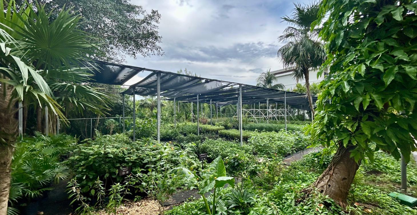 (Coming Soon) Unit 3: Troubleshooting Your Garden