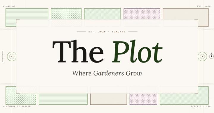 The Plot