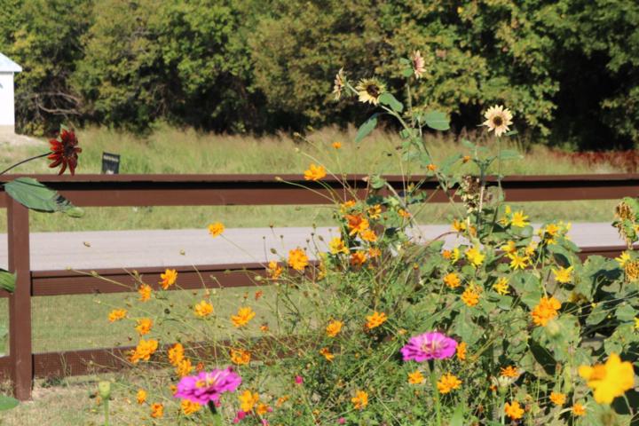 Rhonda Bellamy Hodge