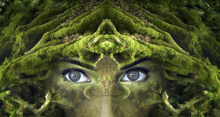 Alruna - Spirituelles Gärtnern