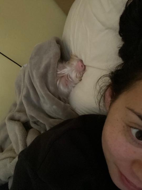 Iz Fletcher