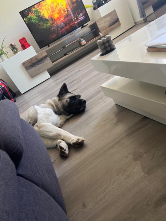 Lidija Uksini