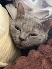 Matthew Gavin Panganiban