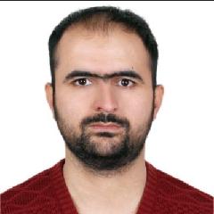 Mohammad Naweed Hamidi