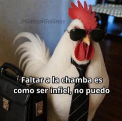 Josue Alarcon
