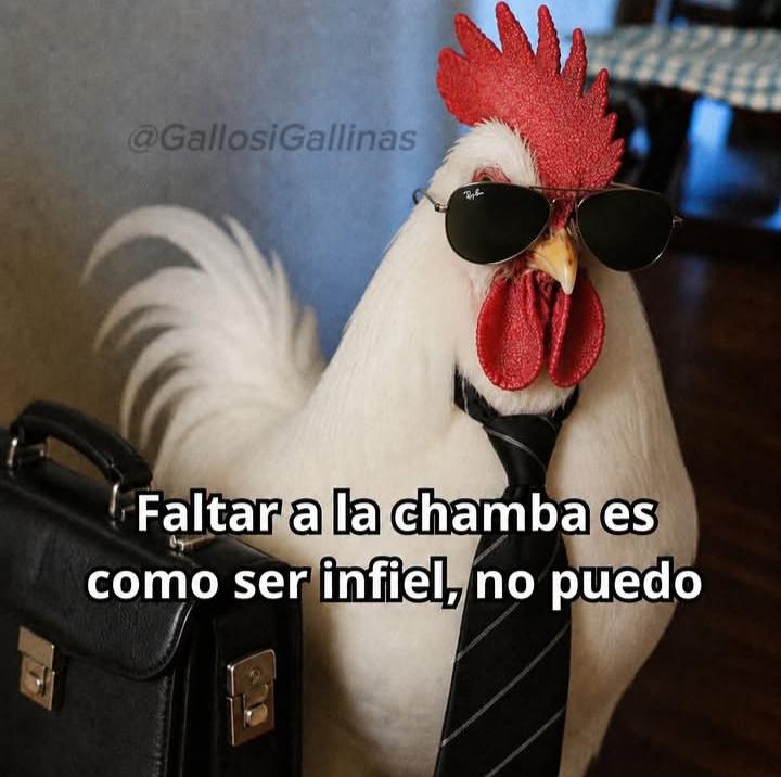 Josue Alarcon