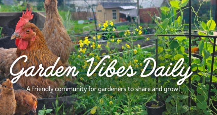 GardenVibesDaily