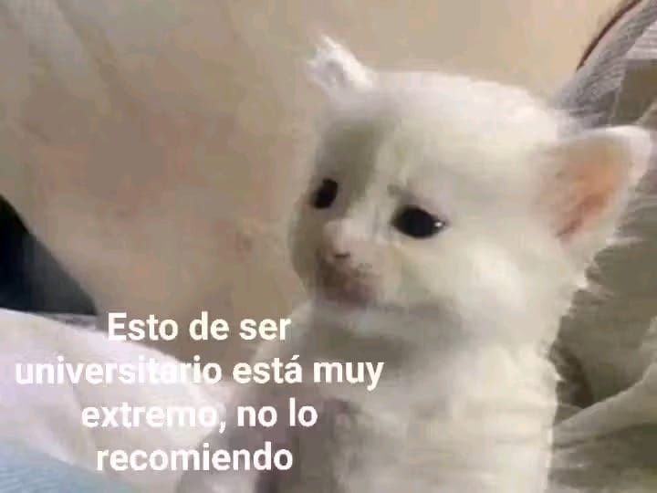 Yolanda Quisperima