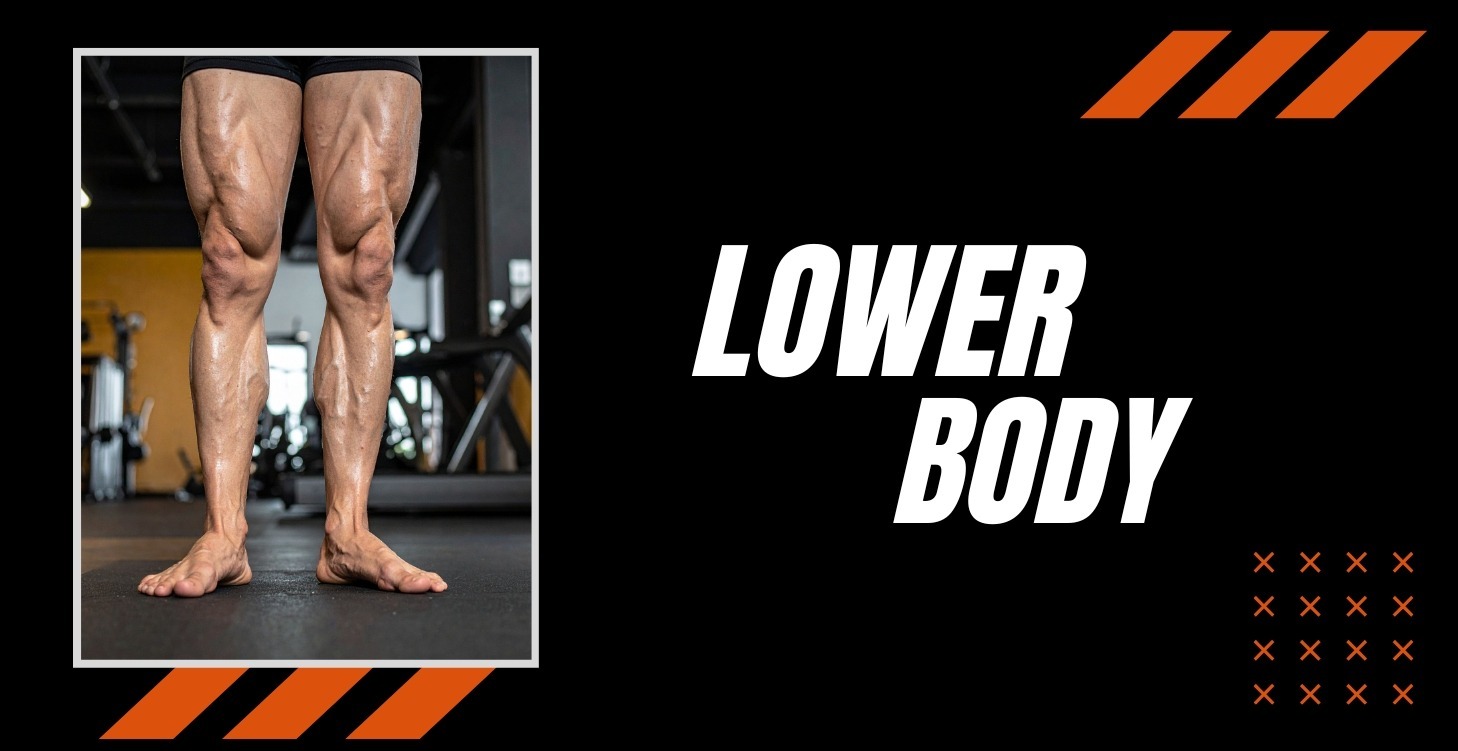 Introduction to lower body